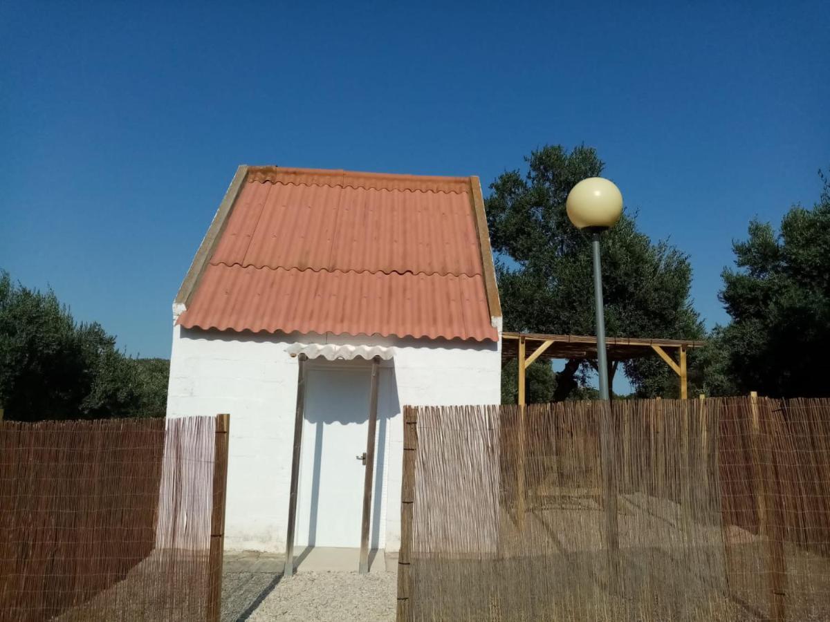 Camping Riba-Roja المظهر الخارجي الصورة