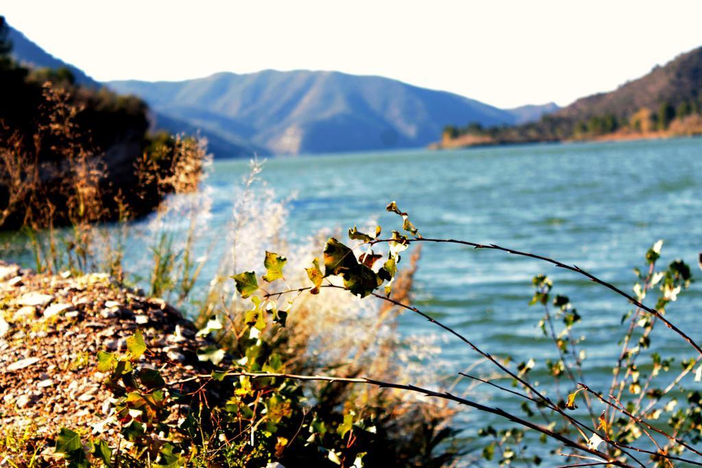 Camping Riba-Roja الغرفة الصورة